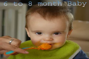 Baby Food Recipes 6-8 Months