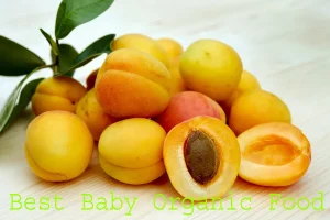 Best Organic Baby Food Without Heavy Metals