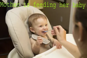 Baby Food Recipes 6-8 Months